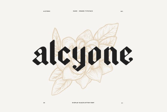 Alcyone Typeface: A Bold Choice for Strong Campaign Messaging